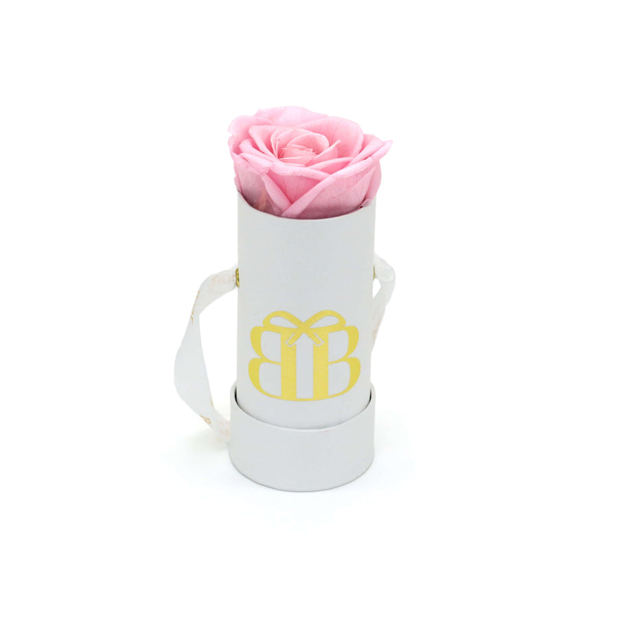 Baby Rose Box