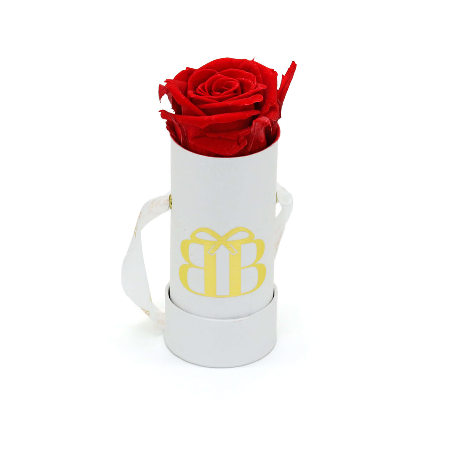 Baby Rose Box