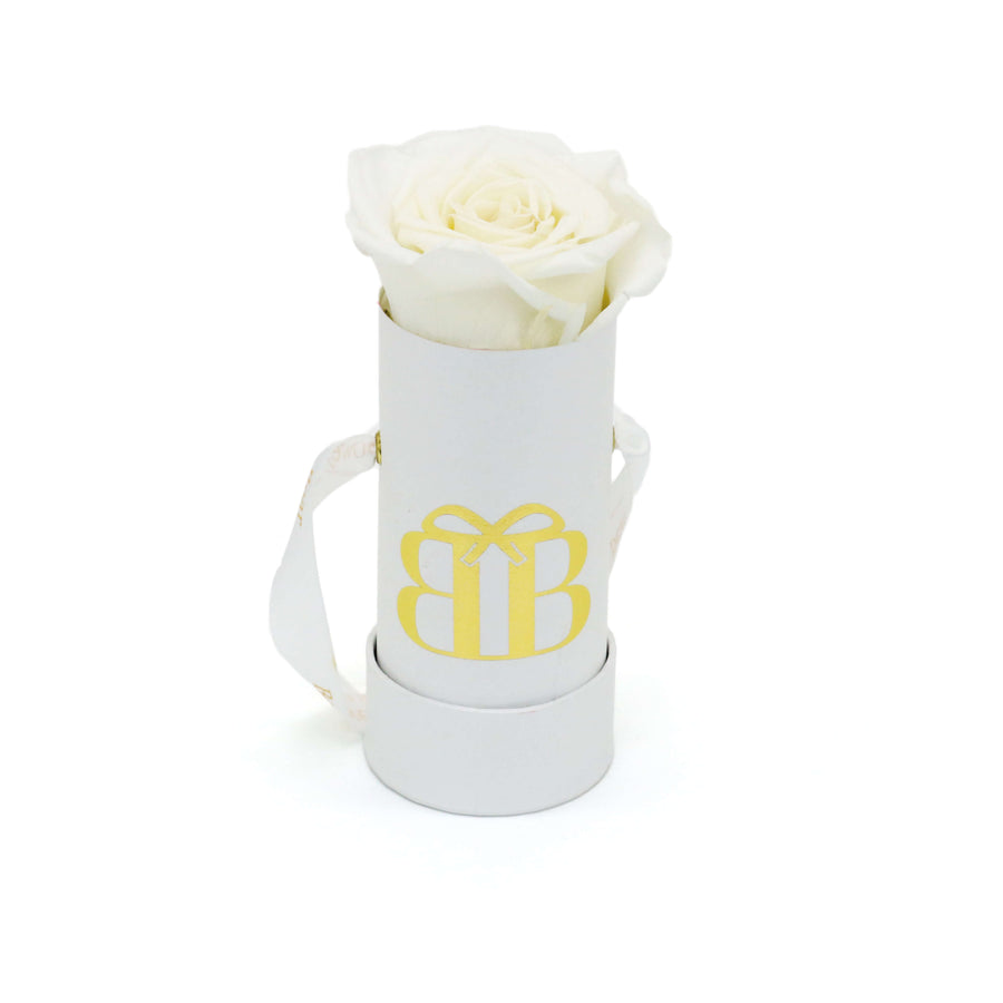 Baby Rose Box